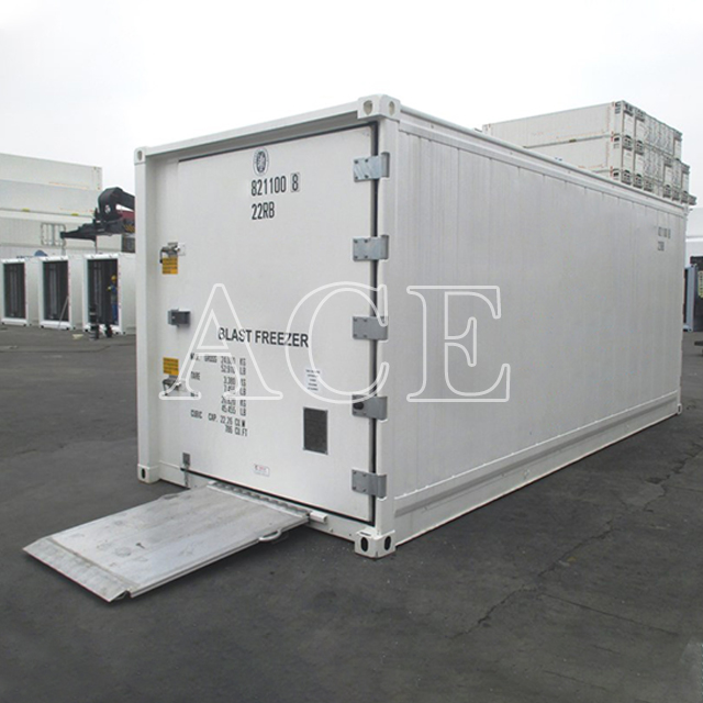 20 feet Blast Freezer Container for Sale - Buy 20 ft Thermo King blast ...