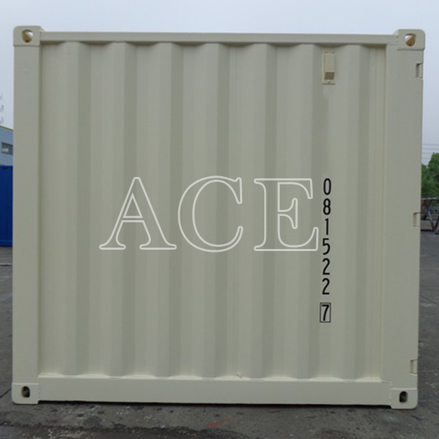MIni Storage 6ft Shipping Container